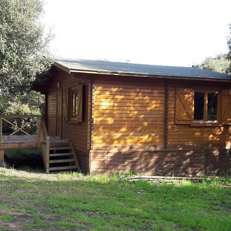 Chalets Bois 150M De La Plage Olmeto  Exterior photo